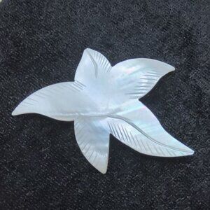 Elegant Mother Of Pearl Flower Brooch Pin